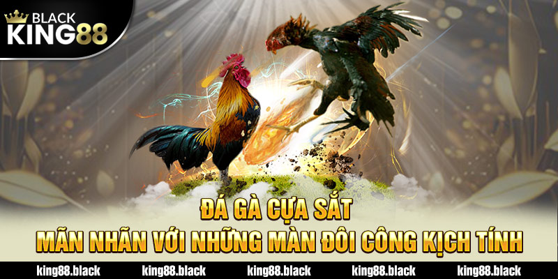 đá gà cựa sắt