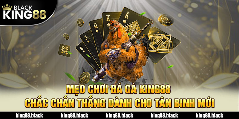 mẹo chơi đá gà king88